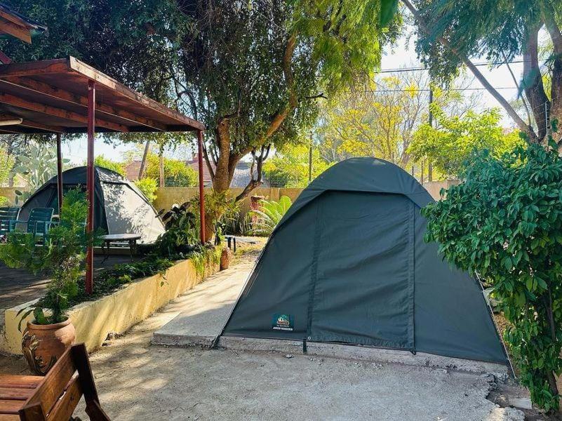 Birdville Bnb Guest House Gaborone Luaran gambar
